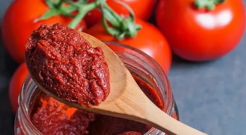 تصویر 2 از قیمت رب گوجه فرنگی خوشبخت با کیفیت ارزان + خرید عمده